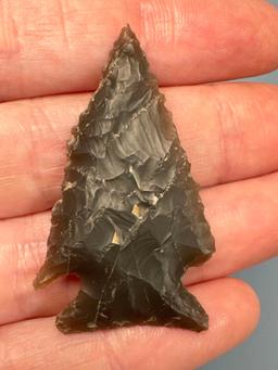 BEST of BEST 1 3/4" Serrated Corner Notch Point, Ridge and Valley Chert, Found in North Carolina