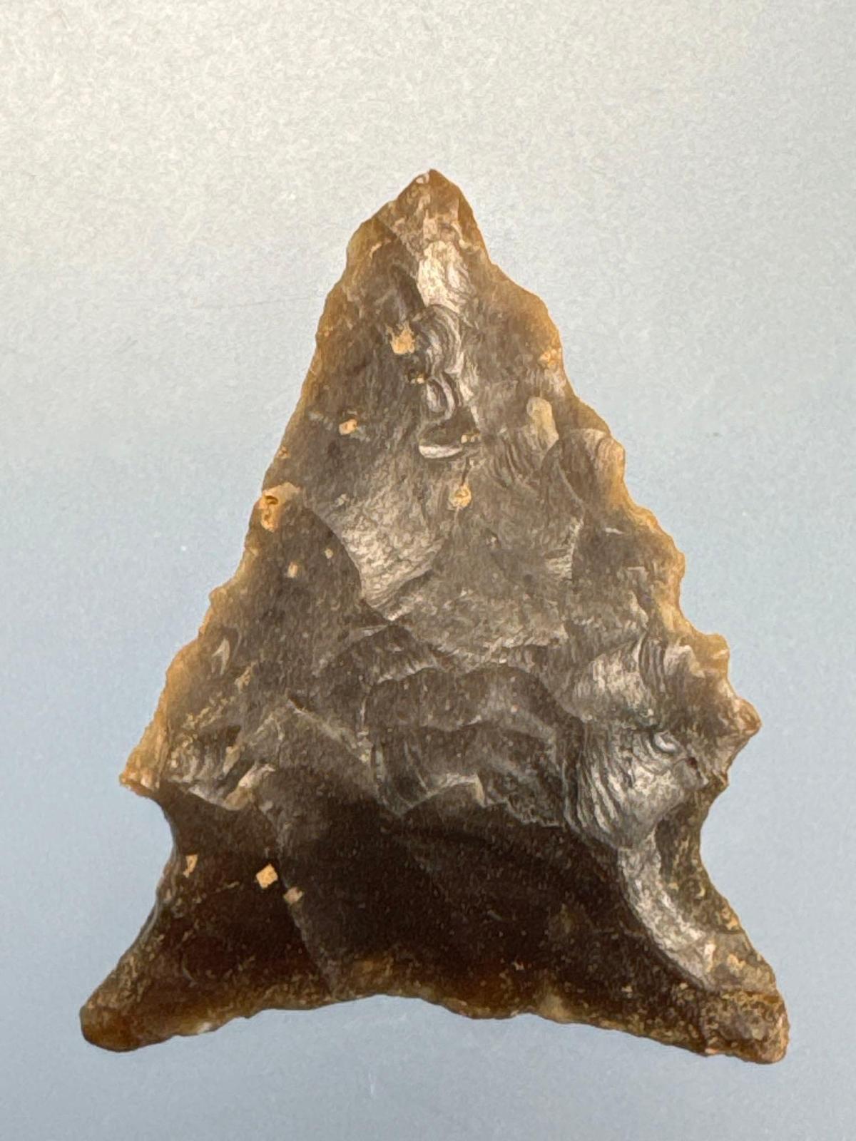 Impressive 1 3/16" Chert Side Notch Point, Ridge and Valley Chert, Found in North Carolina