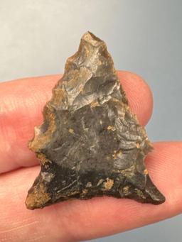 Impressive 1 3/16" Chert Side Notch Point, Ridge and Valley Chert, Found in North Carolina