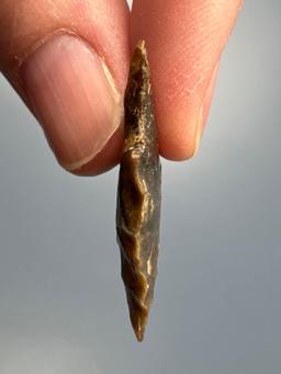 Impressive 1 3/16" Chert Side Notch Point, Ridge and Valley Chert, Found in North Carolina