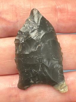 1 1/2" Paleo Point, Ground Base, Ridge and Valley Chert, Found in North Carolina
