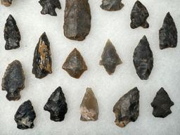 Large Lot of 31 Mainly Ridge and Valley Chert Points, Found in North Carolina, Longest is 2 1/2"