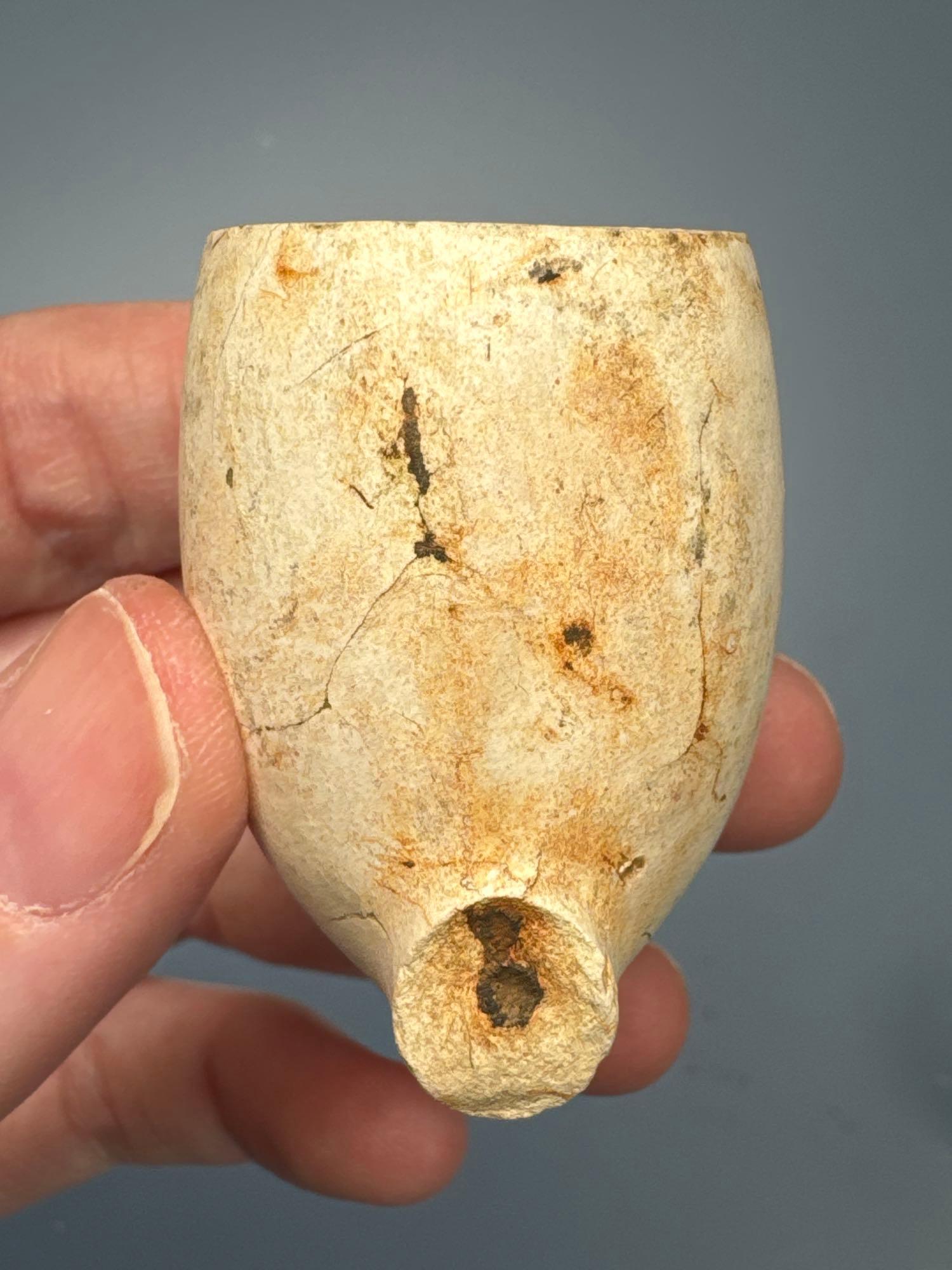 1800's Tavern and Kaolin Pipes, Collected by M. Bickecki in Newton, Bucks Co., PA