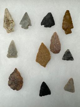 16 Various Points, Cherty, Quartzite, Found in Berks Co., PA, Ex: Kauffman Collection