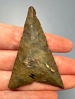 HUGE 2 5/8" Green Normanskill Chert Triangle Point, Levanna, Massive Example, Found in New York