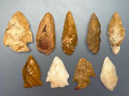 9 Various Cobble Jasper Points, Found in Southeastern PA, Longest is 1 1/2", Ex: Burley Collection