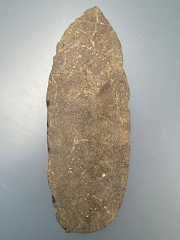 6 1/4" Argillite Petalas Blade, Found in New Jersey, THIN Example and Large