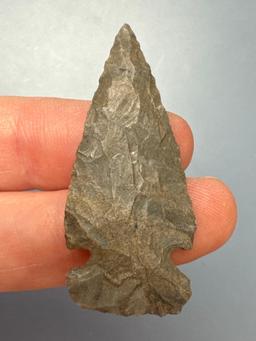 Impressive 1 5/8" Side Notch, Onondaga Chert, Found in Cortland Co., New York, Ex: Dave Summers Coll