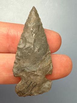 Impressive 1 5/8" Side Notch, Onondaga Chert, Found in Cortland Co., New York, Ex: Dave Summers Coll