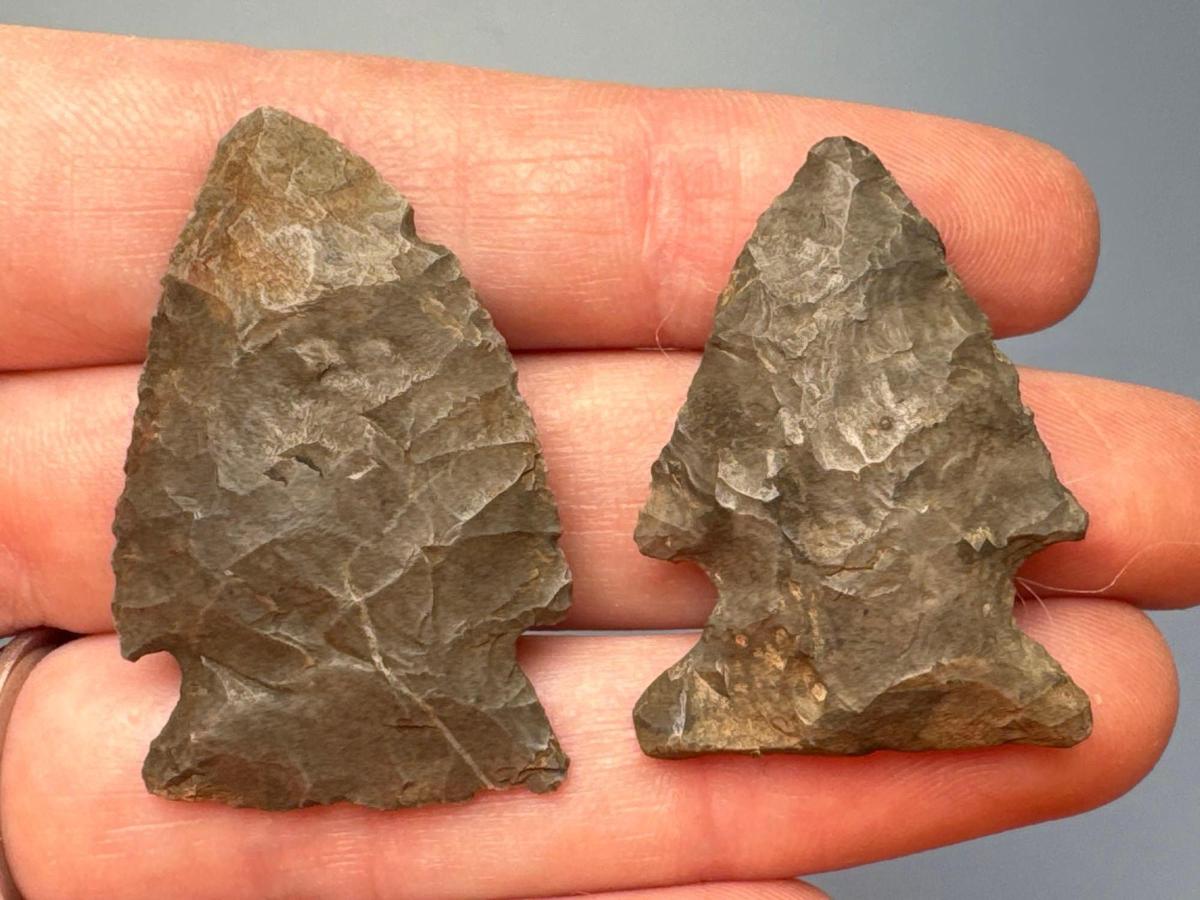 FINE Pair of Corner Notch Points, Chert, Longest is 1 1/2", Found in New York, Ex: Dave Summers Coll