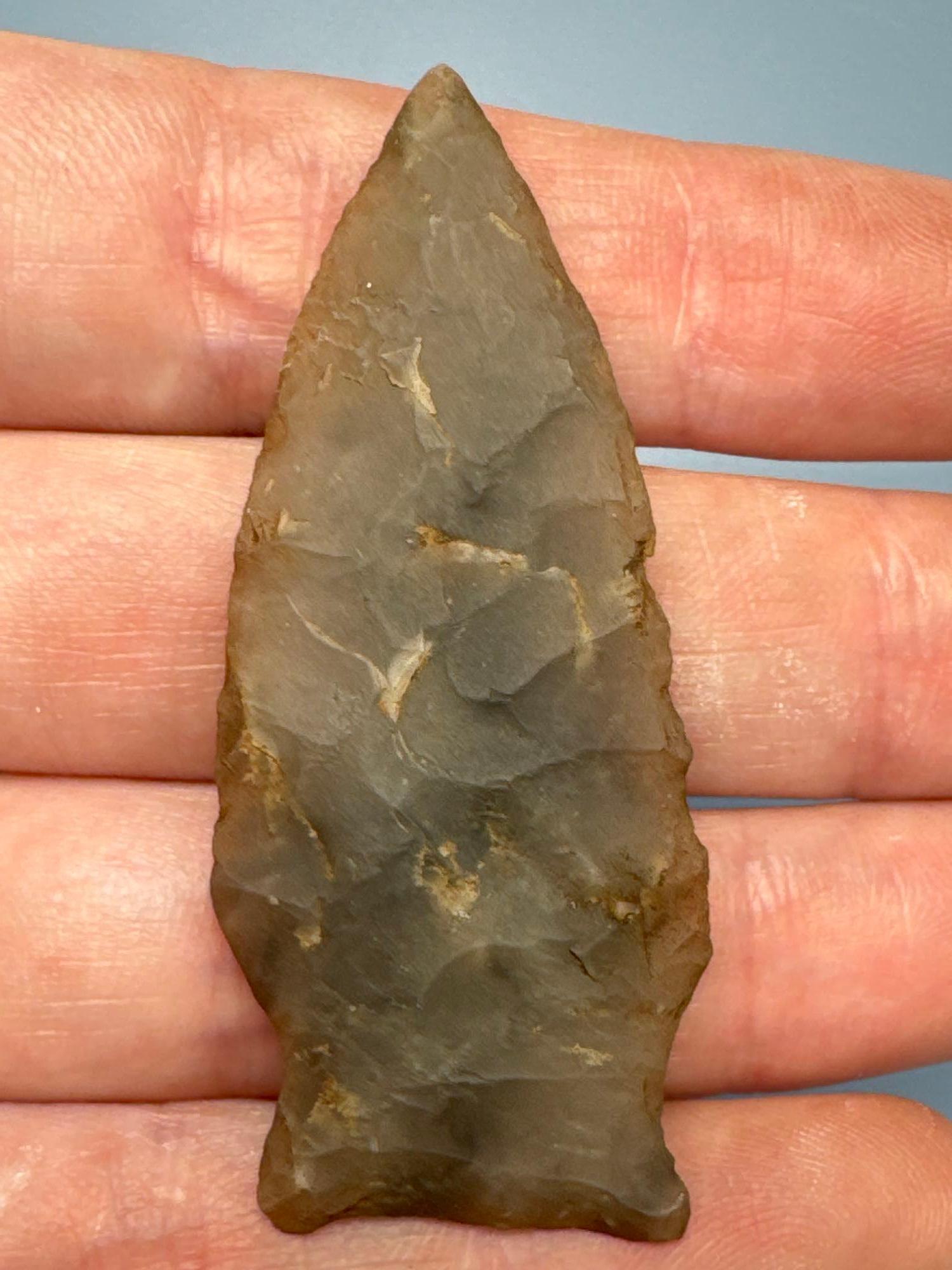 SUPERB 2" Translucent Chalcedony Fishtail Point, Found in New Jersey