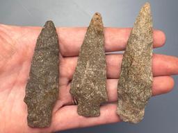 Lot of Archaic Stem Points, Longest is 3 1/8", Found in Northampton Co., PA by the Burley Family,