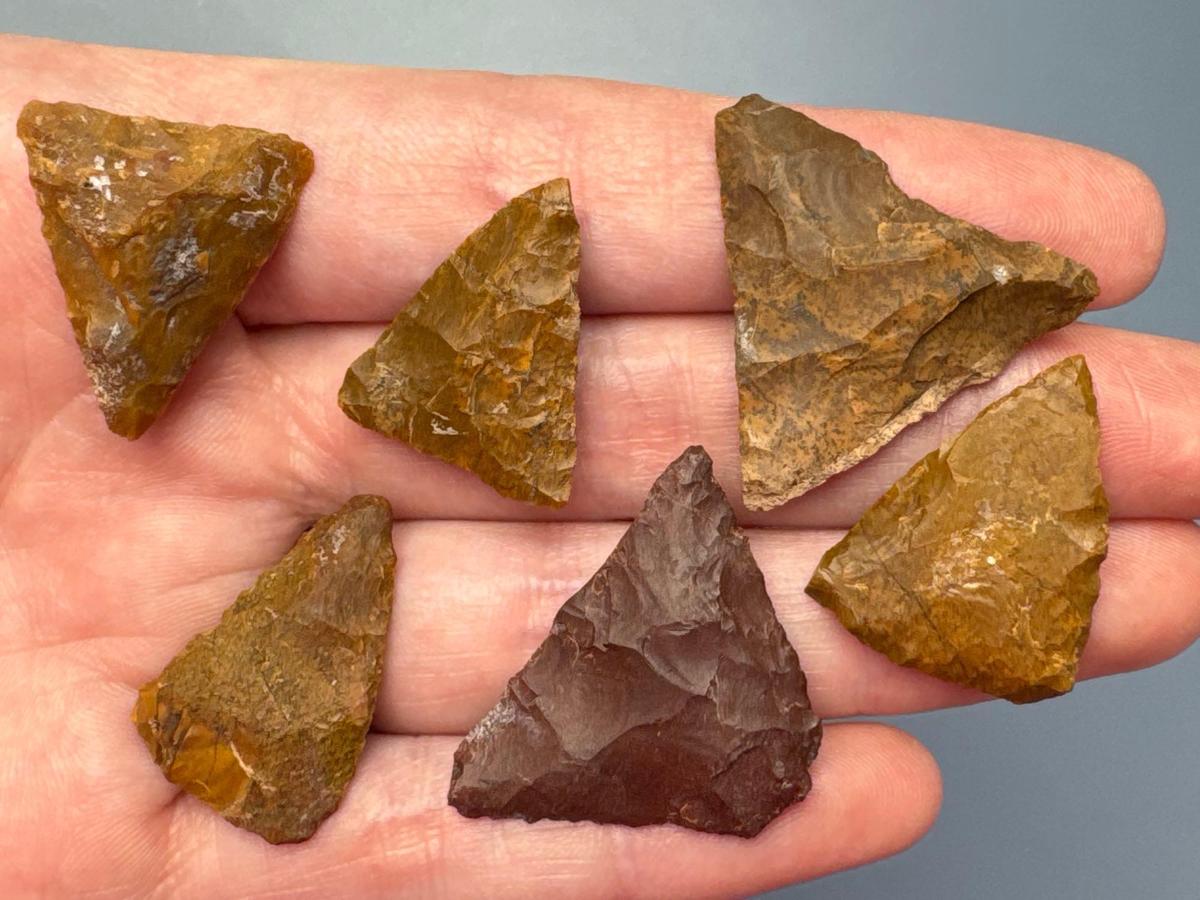 6 Jasper Triangle Points, Longest is 1 3/16", Found in Northampton Co., PA by the Burley Family, Ex: