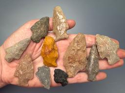 10 Various Points, Jasper, Quartzite, Chert, Longest is 2 1/2" Found in Northampton Co., PA by the B