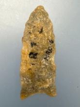 NICE 2" Quartzite Paleo Point, Restoration x1 Ear, Found in Virginia, Ex: Ed Bottoms Collection