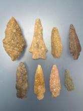 8 Decent Arrowheads, Longest is 2 15/16", Found in Dover, Delaware, Ex: Drapper,