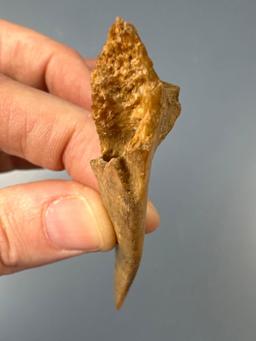 Awl (West Virginia) and Antler Flaking Tool (Lehigh Co., PA) , Longest 3 1/4"