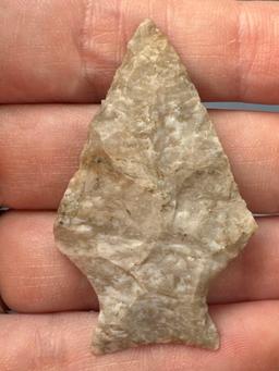 NICE 2" Upper Mercer Ashtabula, Found in Ohio, Ex: Gary Fogelman