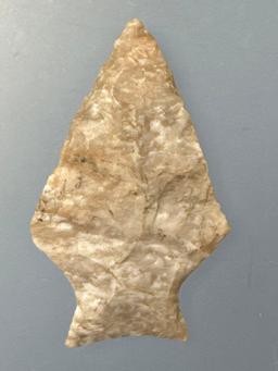 NICE 2" Upper Mercer Ashtabula, Found in Ohio, Ex: Gary Fogelman