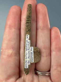 RARE 2 3/4" Bone War Club, Iroquoian, Found on White Site, Chenango River, Chenango Co., New York.