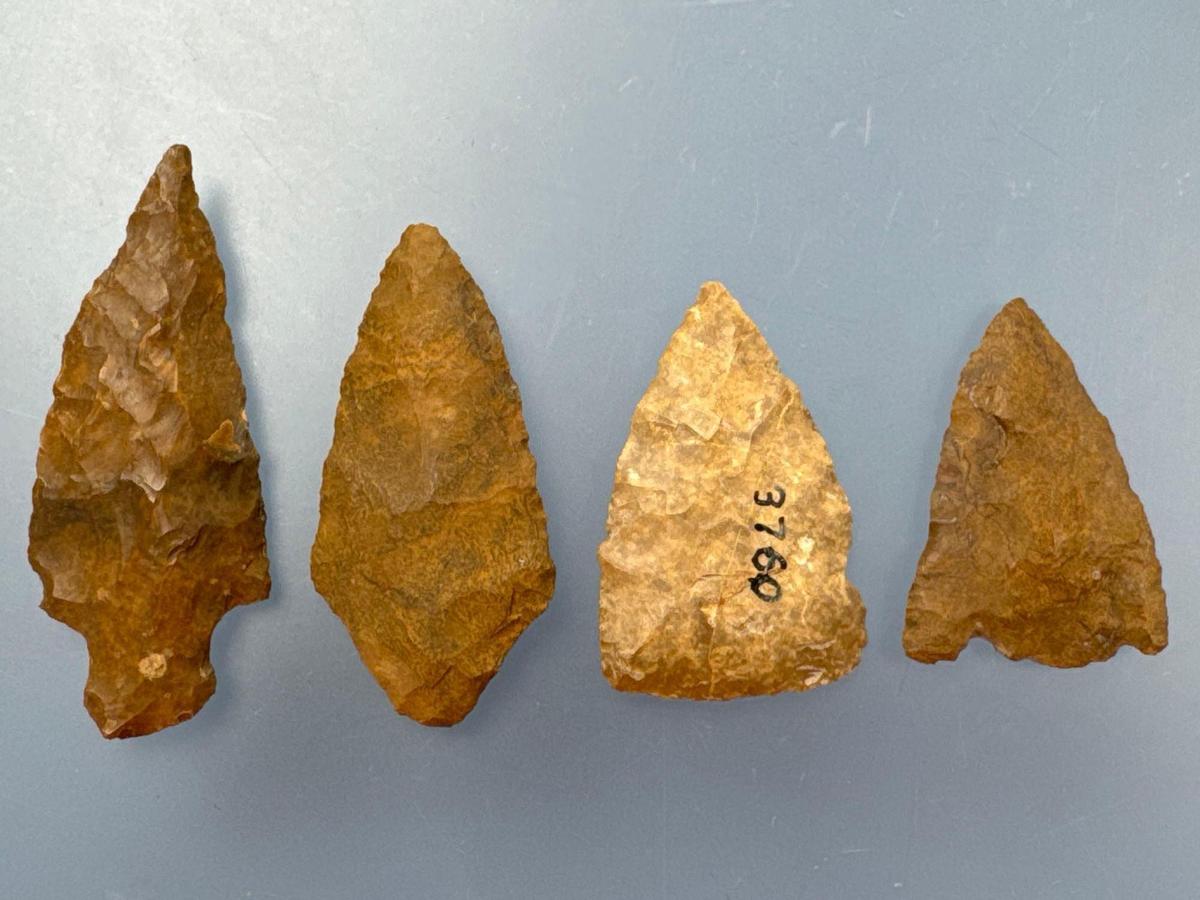 4 Nice Jasper Points, Longest is 2 5/8", Found in Berks Co., Pennsylvania, Ex: Ted Knieriem