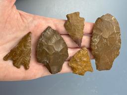 5 FINE Jasper Points, Arrowheads, Longest 2 3/4", Found in Phillipsburg, New Jersey,