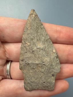 2 1/2" Rhyolite Piedmont Point, Nice Condition, Found along the Lower Susquehanna River