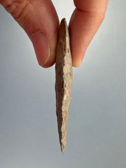 2 1/2" Rhyolite Piedmont Point, Nice Condition, Found along the Lower Susquehanna River