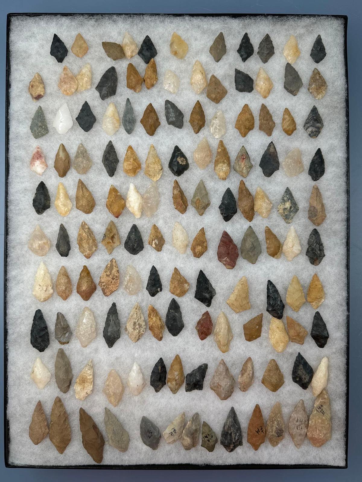 120+ Piscataway Arrowheads, Found in New Jersey, Longest is 2 1/16", Jasper, Quartz and More