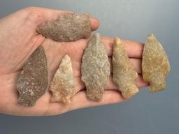 6 Fine Quartzite Points, Colorful, Longest is 2 1/2", Found in Berks Co., Pennsylvania,