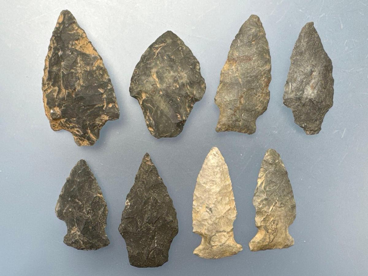 * Nice Arrowheads, Longest is 2 1/4", Found in Berks Co., Pennsylvania, Ex: Ted Knieriem