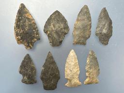 * Nice Arrowheads, Longest is 2 1/4", Found in Berks Co., Pennsylvania, Ex: Ted Knieriem