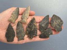 * Nice Arrowheads, Longest is 2 1/4", Found in Berks Co., Pennsylvania, Ex: Ted Knieriem