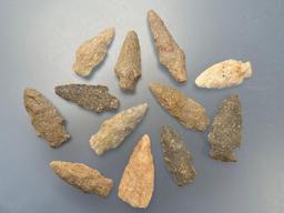 12 Various Quartzite Arrowheads, Longest is 2 7/8", Found in Berks Co., Pennsylvania,