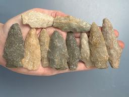 12 Various Quartzite Arrowheads, Longest is 2 7/8", Found in Berks Co., Pennsylvania,