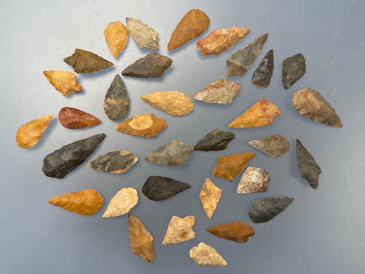 35 FINE Cobble Chert and Jasper Piscataway Points, Longest is 1 7/8", Found in New Jersey