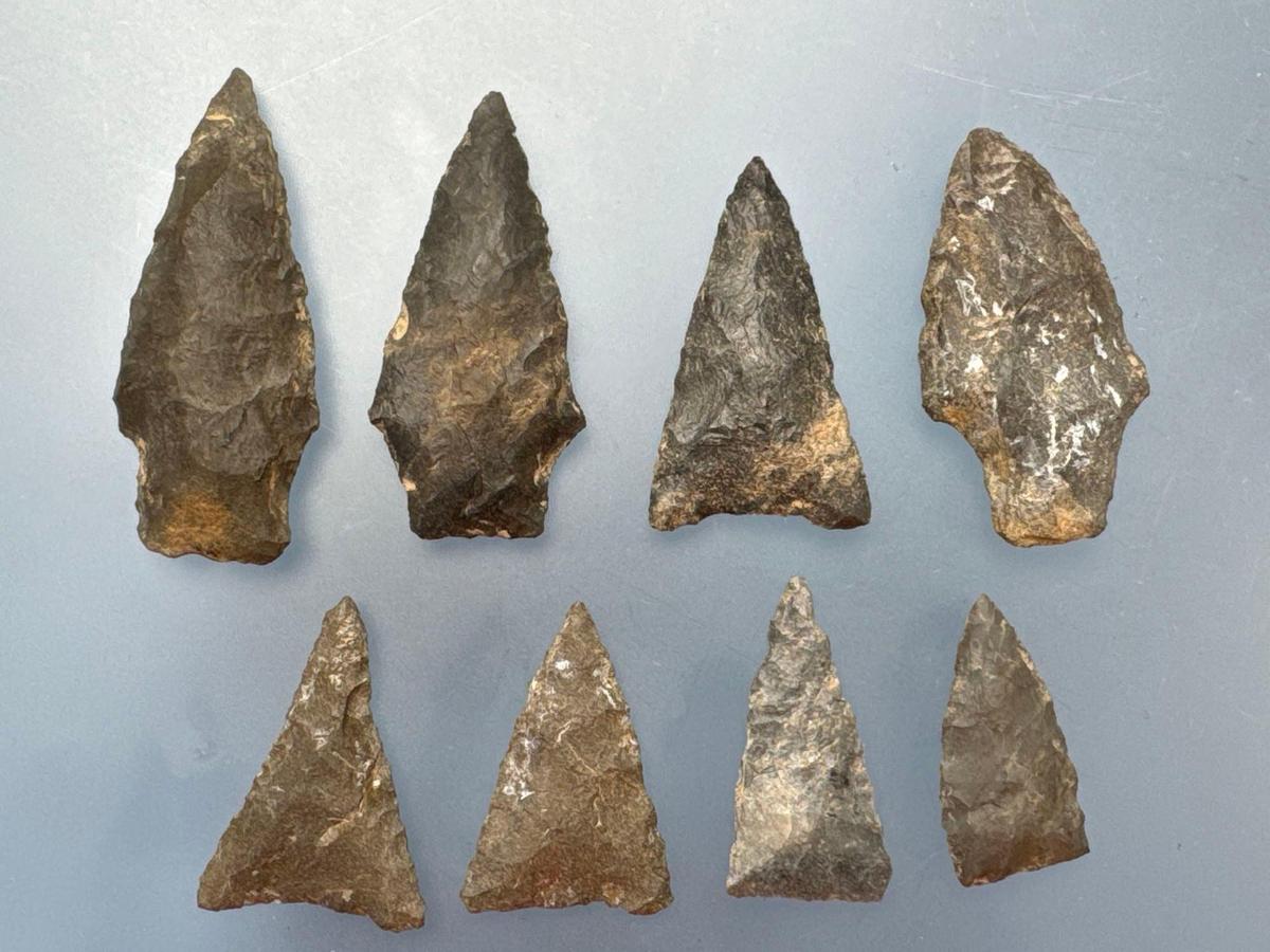 8 Various Arrowheads, Longest is 1 7/8", Found in Sunbury, PA, Ex: Ted Knieriem, Fred Myers