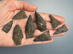 8 Various Arrowheads, Longest is 1 7/8", Found in Sunbury, PA, Ex: Ted Knieriem, Fred Myers