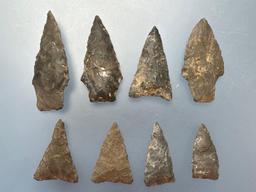 8 Various Arrowheads, Longest is 1 7/8", Found in Sunbury, PA, Ex: Ted Knieriem, Fred Myers