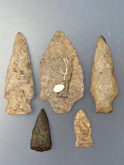 5 Rhyolite Points, Longest is 2 7/8", Found near Ortanna, Adams Co., Pennsylvania by Paul Fissel