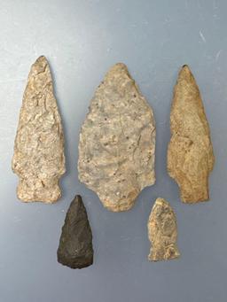 5 Rhyolite Points, Longest is 2 7/8", Found near Ortanna, Adams Co., Pennsylvania by Paul Fissel