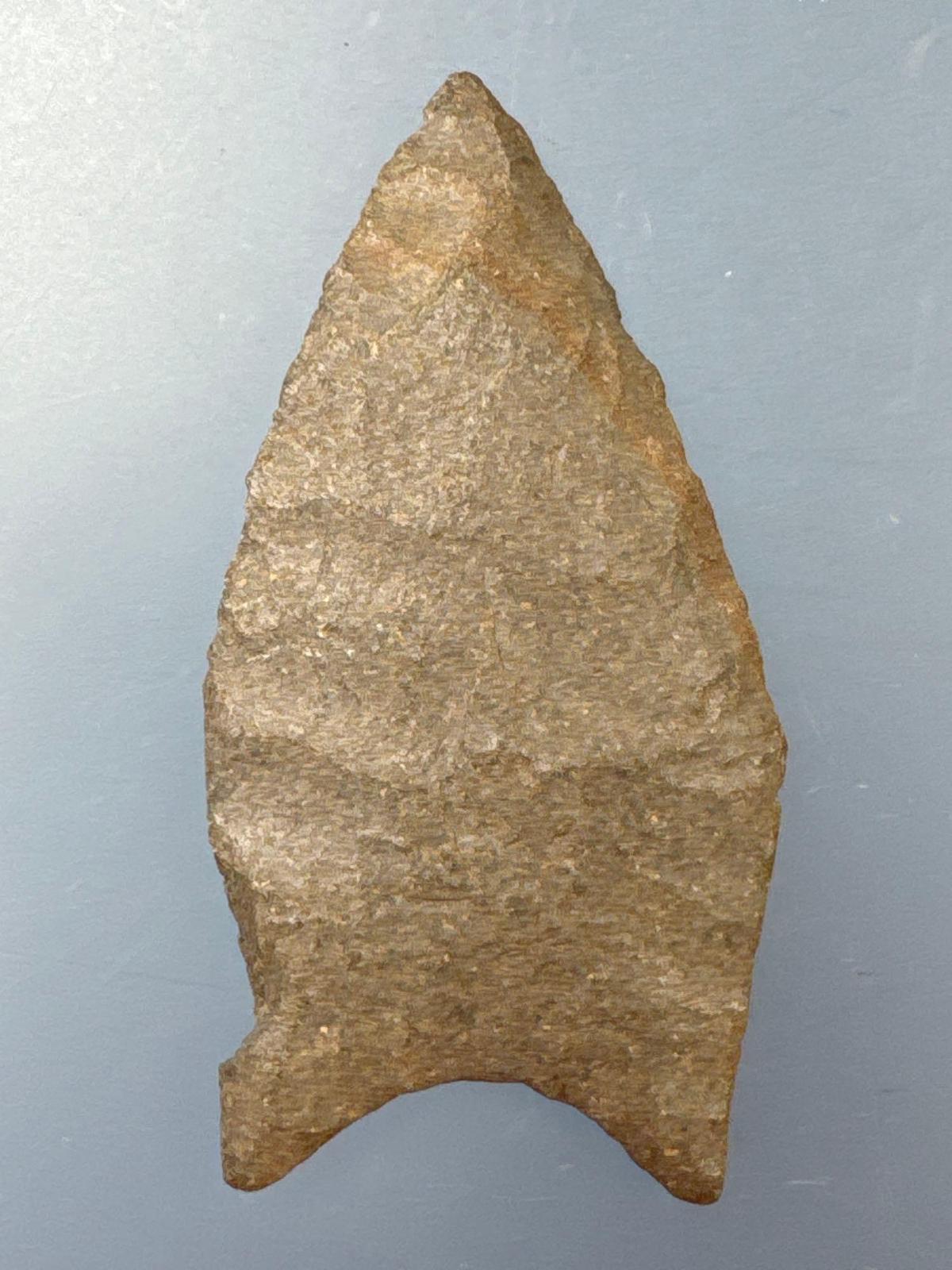 Stunning 2 1/2" Paleo Point, Found along the Nemaha River in Nemaha Co., Kansas by Terry Miller,