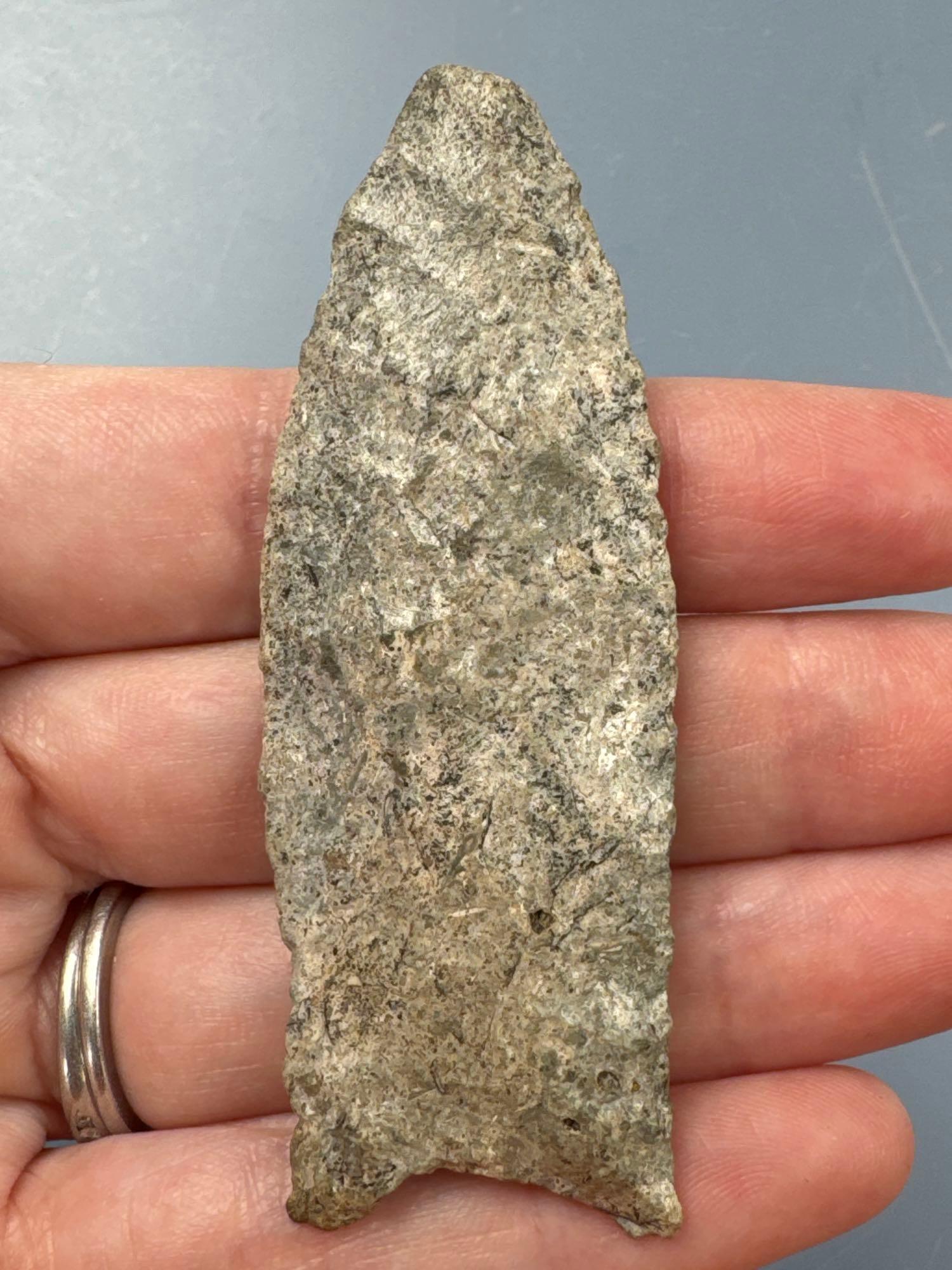 RARE 2 13/16" Fluted Paleo Clovis, Found in Greenwood Co., Kansas by Terry Miller