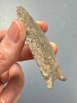 RARE 2 13/16" Fluted Paleo Clovis, Found in Greenwood Co., Kansas by Terry Miller
