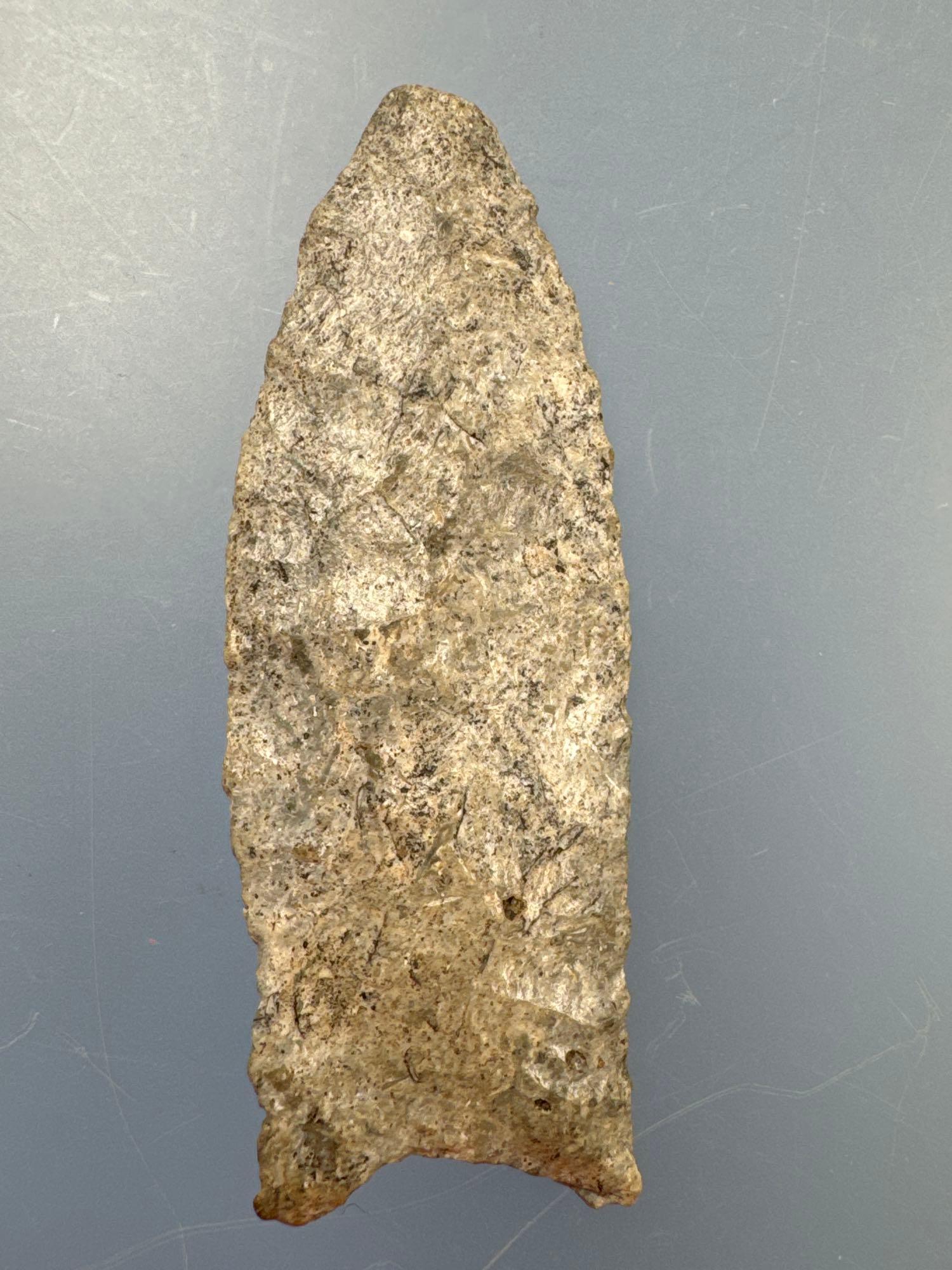 RARE 2 13/16" Fluted Paleo Clovis, Found in Greenwood Co., Kansas by Terry Miller