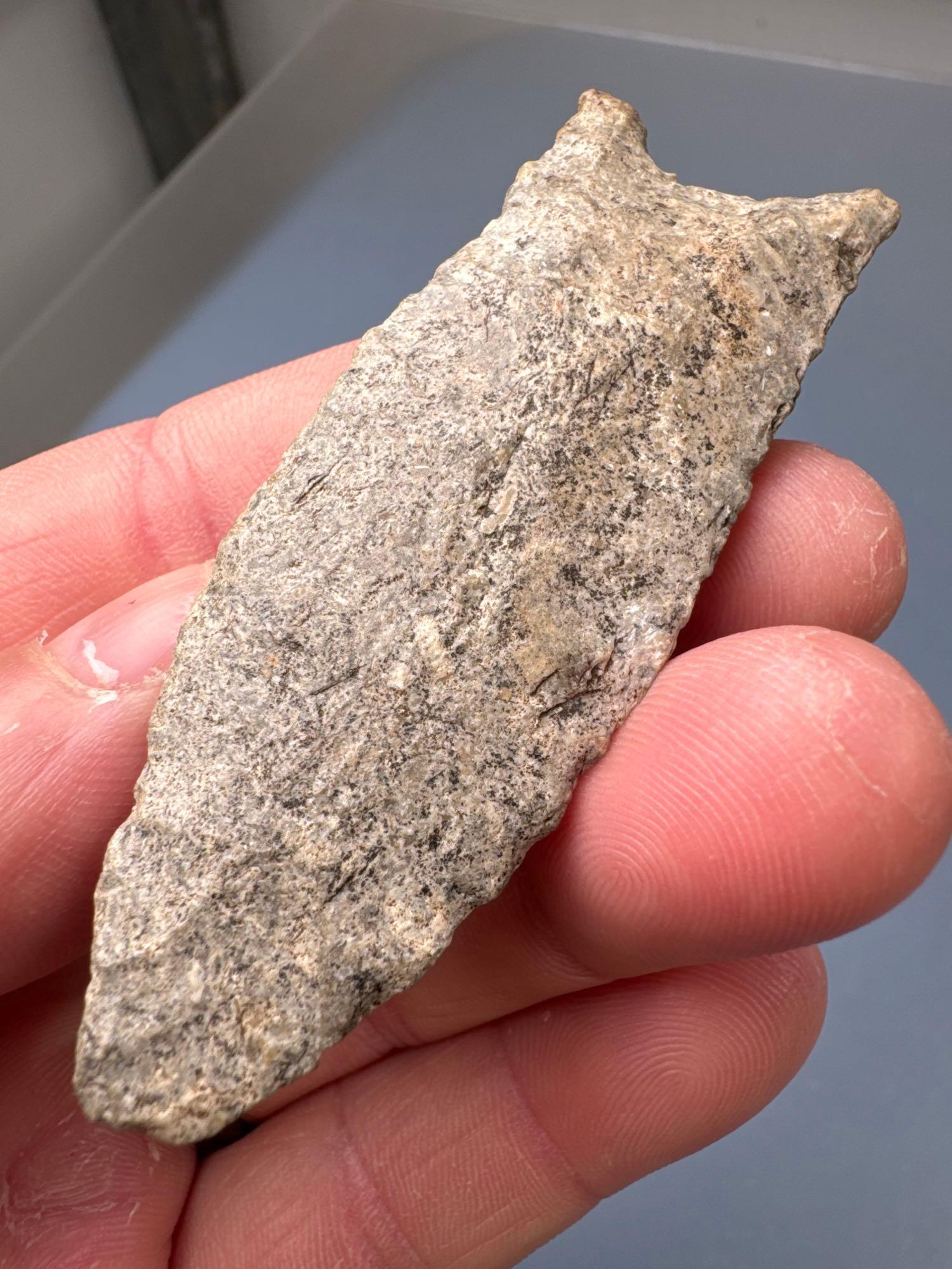 RARE 2 13/16" Fluted Paleo Clovis, Found in Greenwood Co., Kansas by Terry Miller