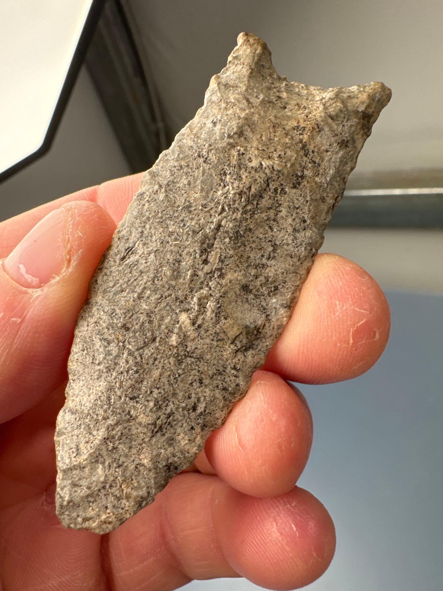 RARE 2 13/16" Fluted Paleo Clovis, Found in Greenwood Co., Kansas by Terry Miller