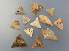 12 Fine Cohansey Quartzite Points, Triangles, Stemmed, Longest is 1 5/8" Found in New Jersey