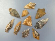 9 Impressive Cobble Jasper Piscatawy Points, Longest 1 3/4", Found in New Jersey, Ex: Walt Podpora