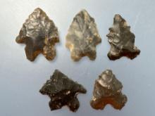 5 Impressive Bifurcate Points, Longest is 1 1/8", Found in Berks Co., Pennsylvania, Ex: Ted Knieriem